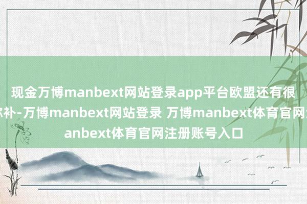 现金万博manbext网站登录app平台欧盟还有很大的缺口要弥补-万博manbext网站登录 万博manbext体育官网注册账号入口