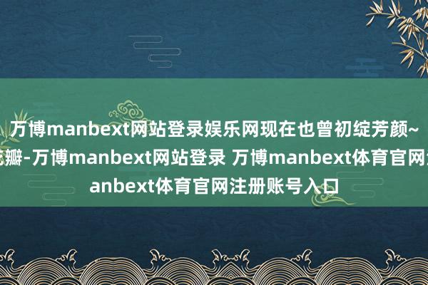 万博manbext网站登录娱乐网现在也曾初绽芳颜~纯净如玉的花瓣-万博manbext网站登录 万博manbext体育官网注册账号入口