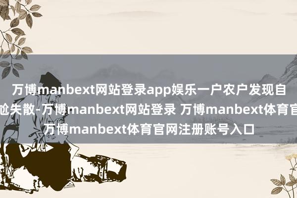 万博manbext网站登录app娱乐一户农户发现自家养的鸡时常尴尬失散-万博manbext网站登录 万博manbext体育官网注册账号入口