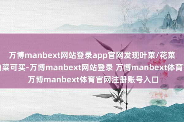 万博manbext网站登录app官网发现叶菜/花菜品类唯唯一款小白菜可买-万博manbext网站登录 万博manbext体育官网注册账号入口