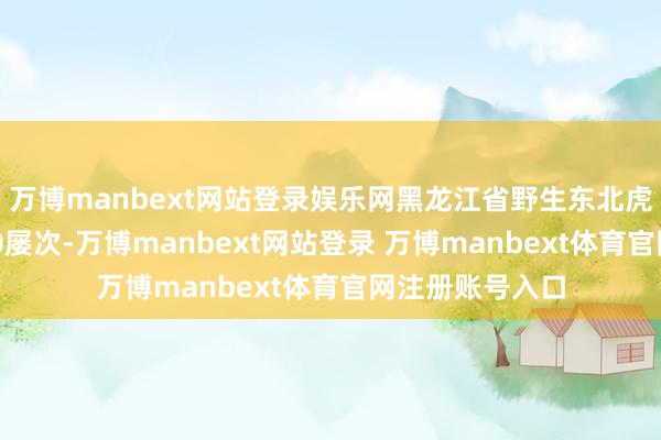 万博manbext网站登录娱乐网黑龙江省野生东北虎出现记载达400屡次-万博manbext网站登录 万博manbext体育官网注册账号入口