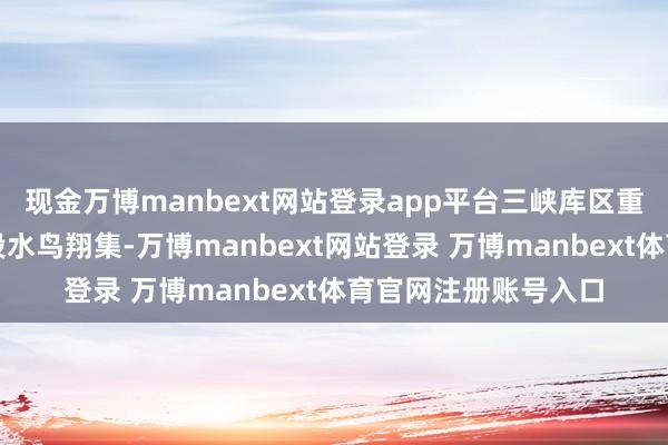 现金万博manbext网站登录app平台三峡库区重庆忠县㽏井河新桥段水鸟翔集-万博manbext网站登录 万博manbext体育官网注册账号入口
