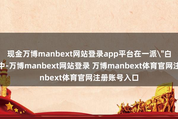 现金万博manbext网站登录app平台在一派